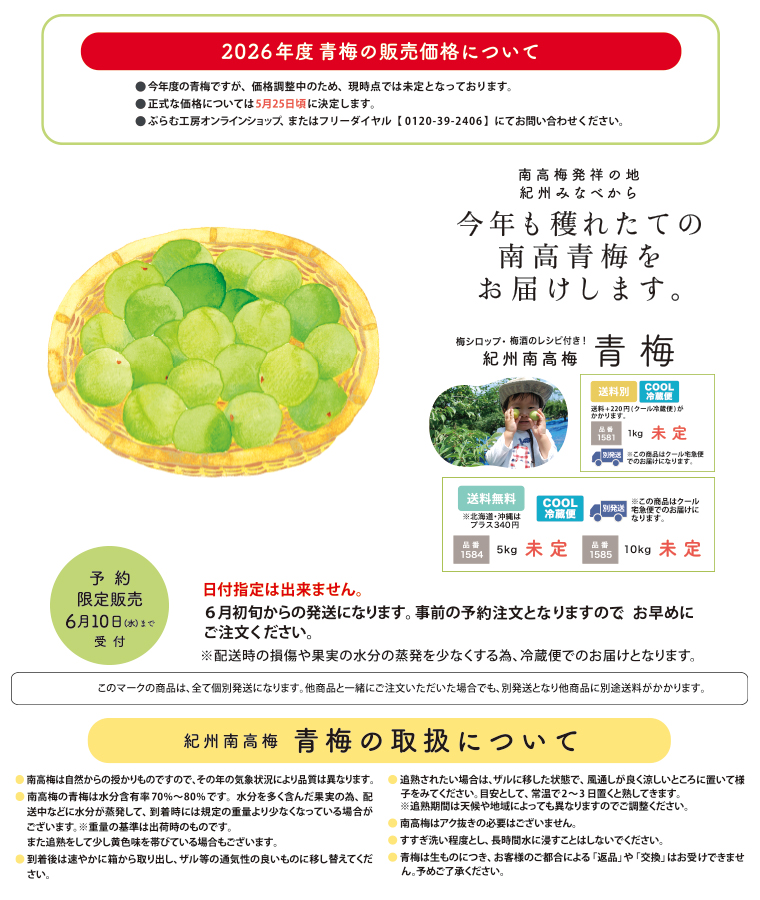 紀州南高梅 青梅5kg【送料無料（一部別）】 紀州南高梅 青梅 南高梅